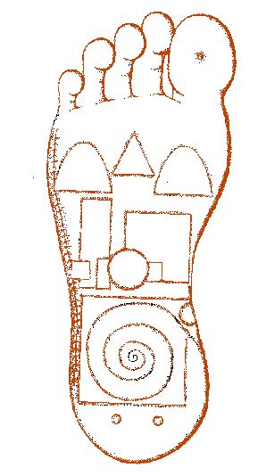 Mappa-Plantare-Riflessologia-On Zon Su piede destro