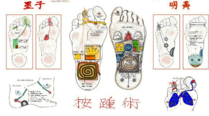 mappe plantari riflessologiche On Zon Su