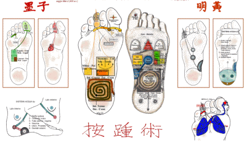 Mappe di riflessologia del piede On Zon Su School